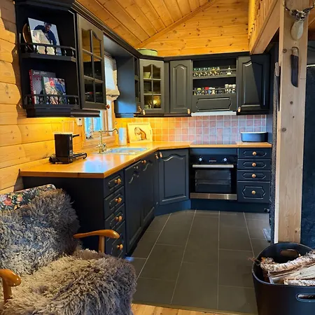 Tatil Evi Hansmoen Bjorli